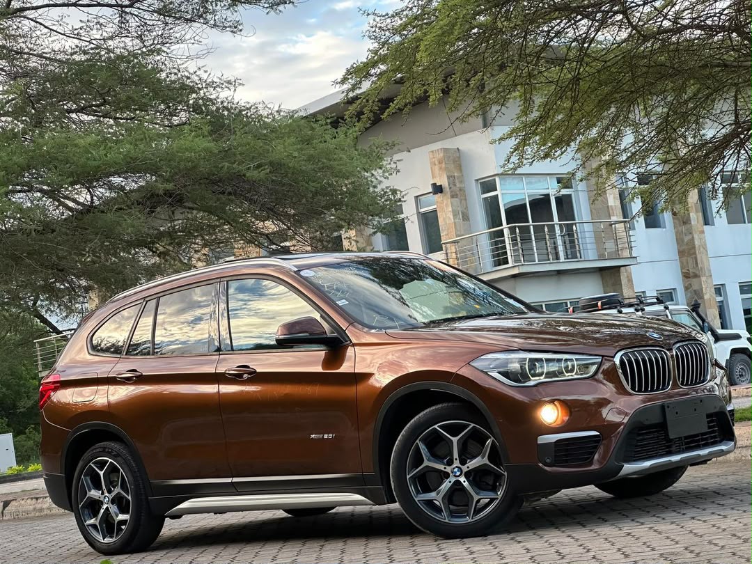 BMW X1 SERIES